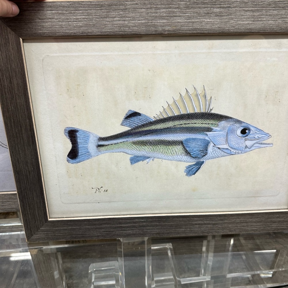 Fish 🐠 art - Picture 6 of 11